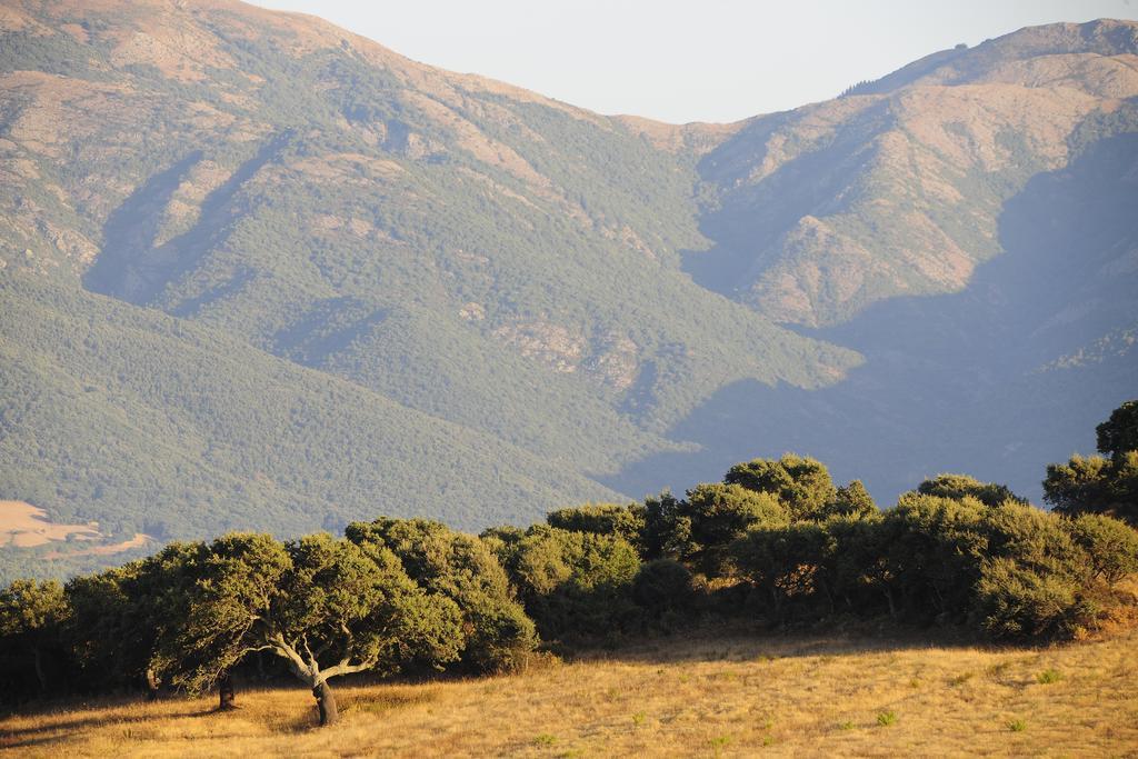 Agriturismo Rocca Su Moru Villa Arbus Bagian luar foto